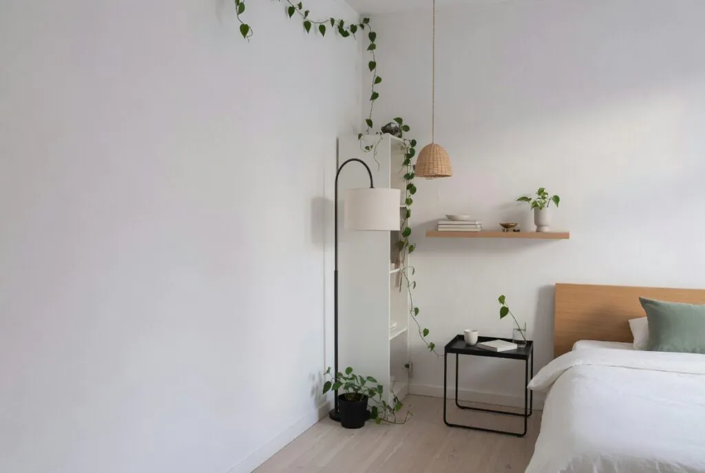 15 Creative Vines in Bedroom Ideas 12 eb5afebe 2a41 48db 88b4 af8f972acfcb